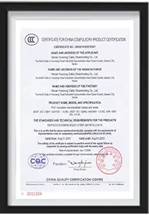  certificate-04